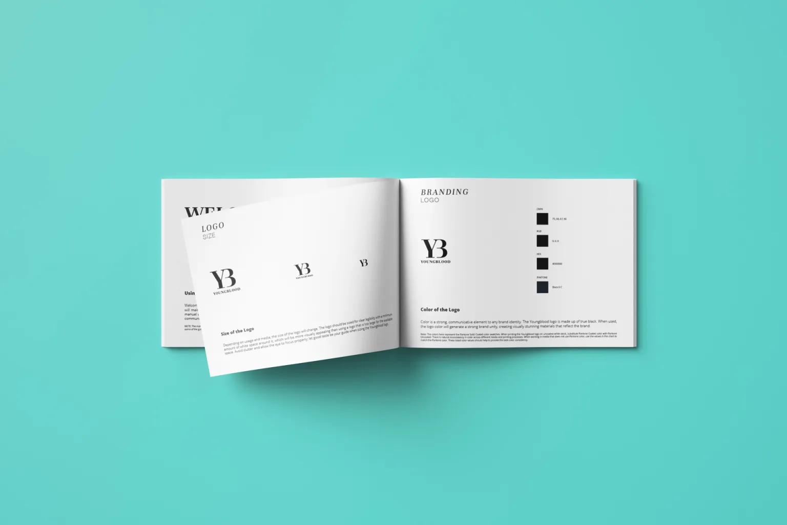 Brand guide inner spread and logo sizing